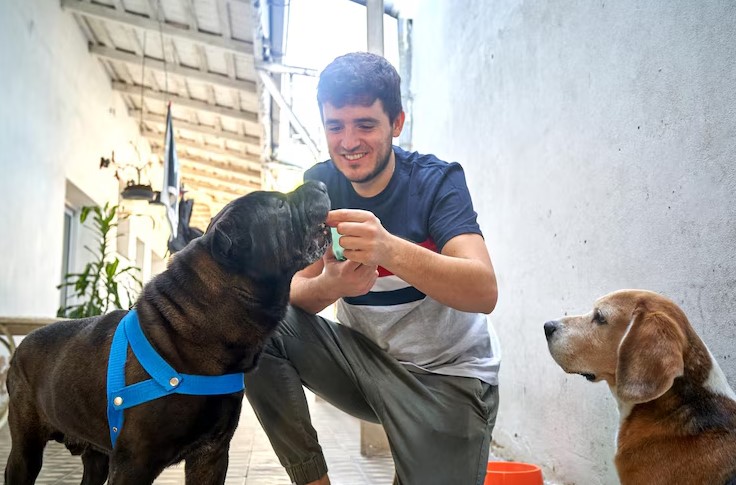 dog boarding daycare near me