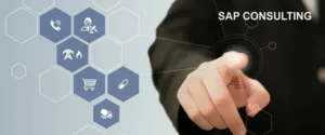 SAP Services
