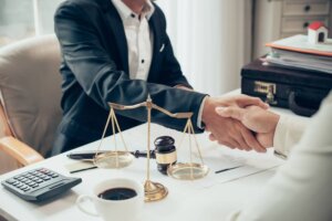 Top Criminal Lawyers