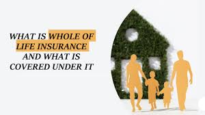 Simple and Affordable Term Life Insurance for You
