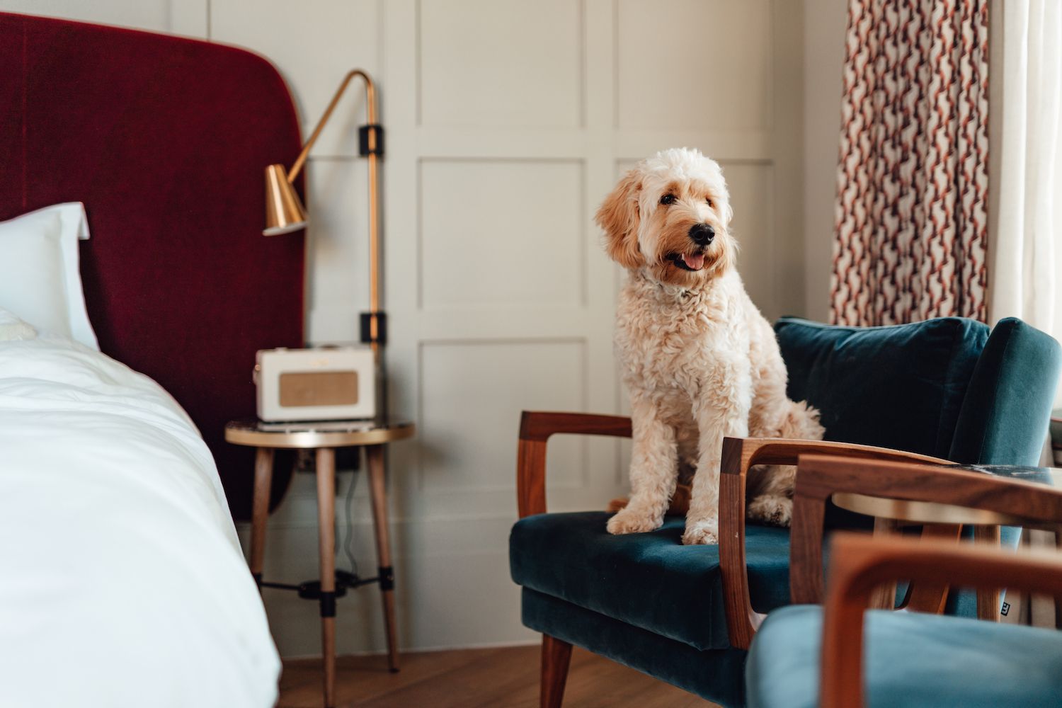 pet friendly spa resorts Ontario