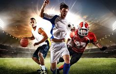 sports betting software provider