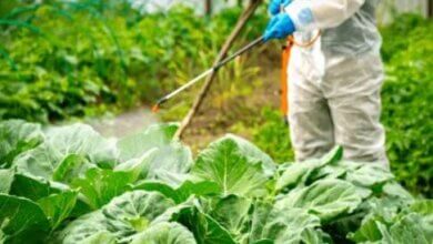 Herbicide