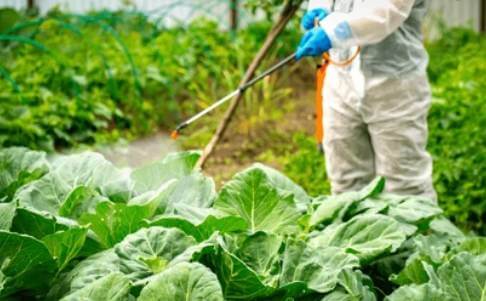 Herbicide