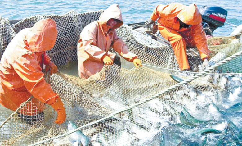 Sustainable Fisheries