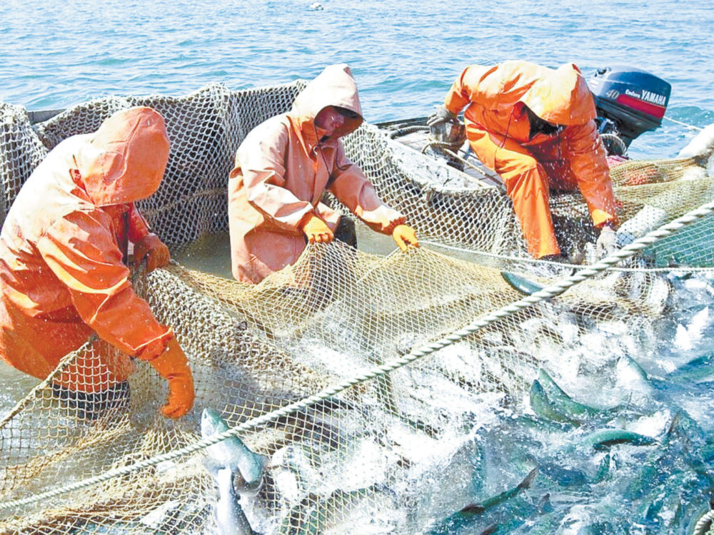 Sustainable Fisheries