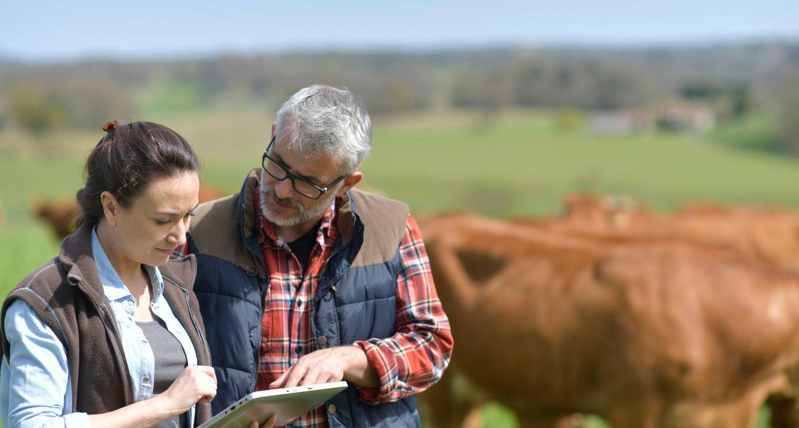 Animal health distributors Oman
