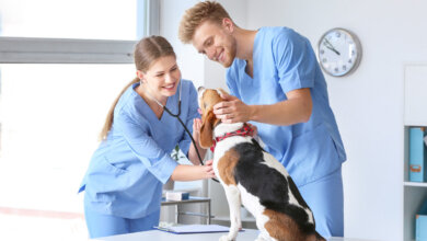Veterinary medicine supplier Dubai