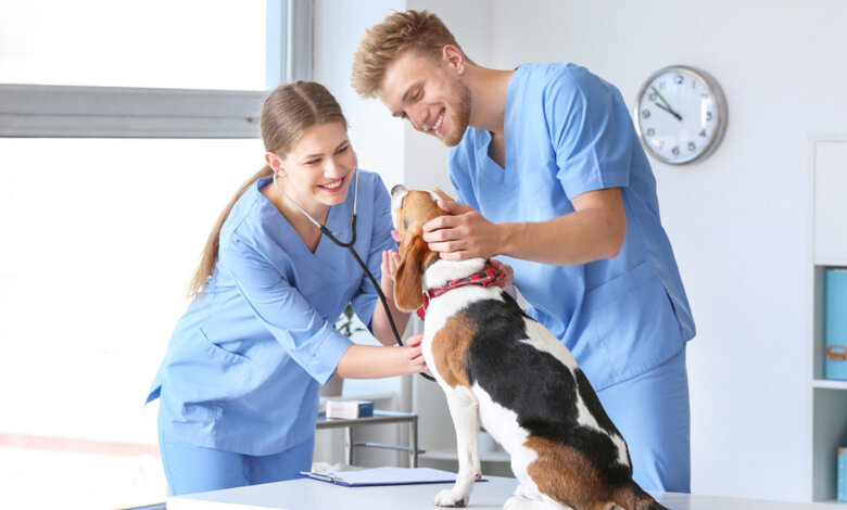 Veterinary medicine supplier Dubai