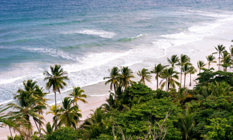 Goa beach