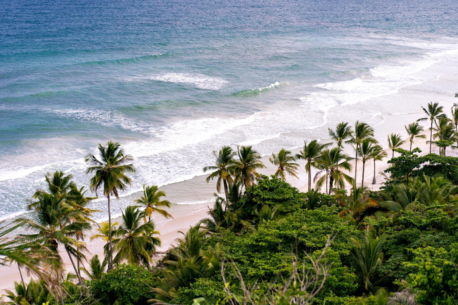 Goa beach