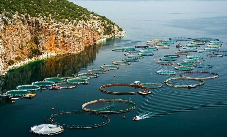 Sustainable Aquaculture
