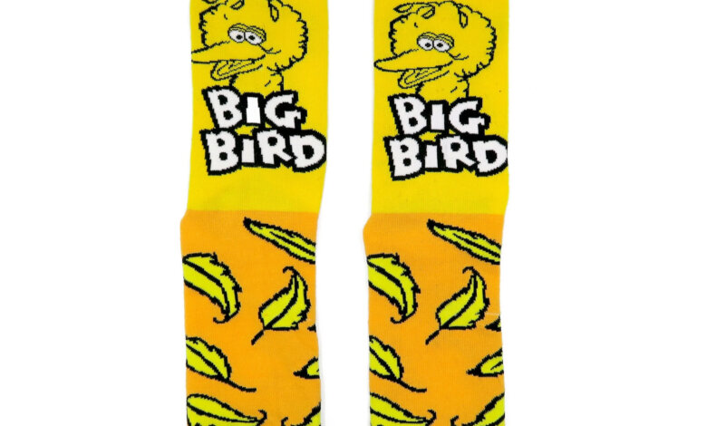 Fun Quirky Socks