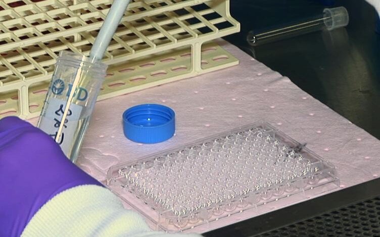 Cell Cytotoxicity Assay