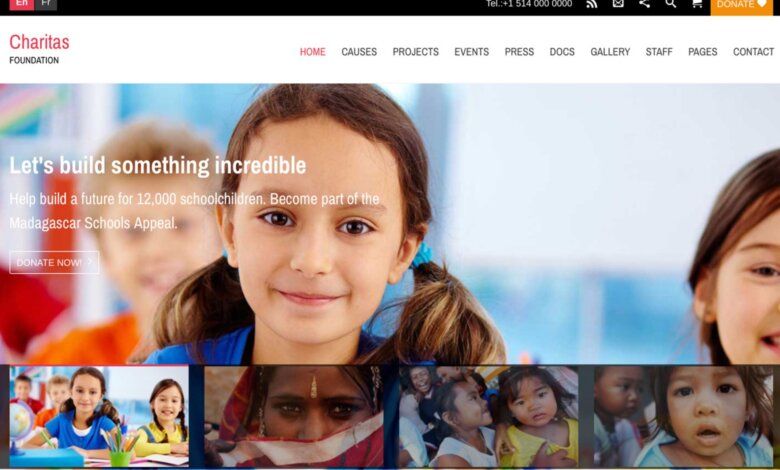 Looking for the Perfect Free NGO WordPress Theme to Inspire Donors and Drive Impact?