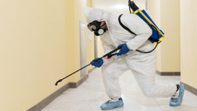 Commercial Pest Control Services