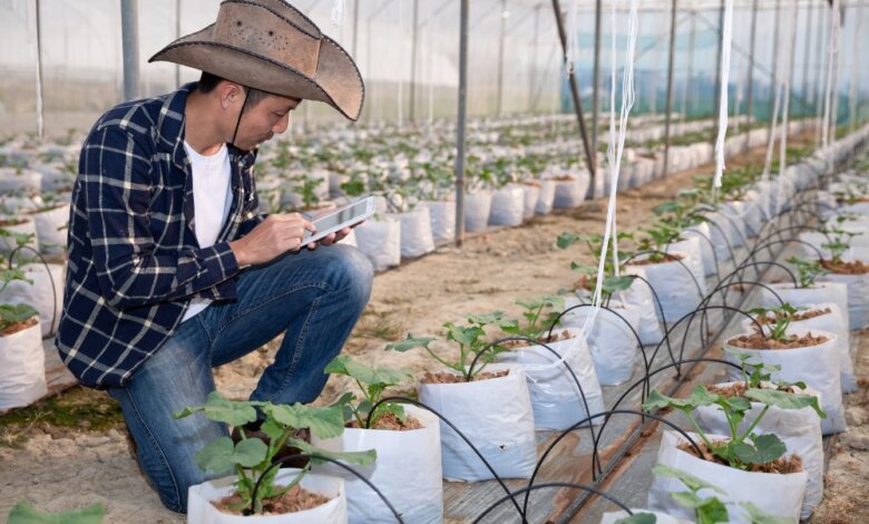 irrigation systems in Melbourne