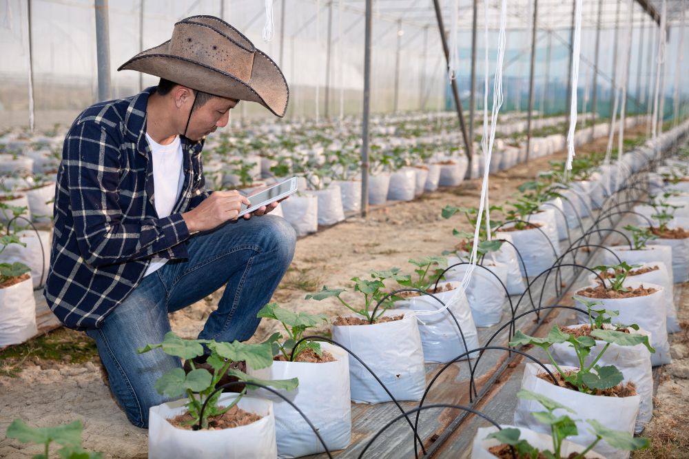 irrigation systems in Melbourne