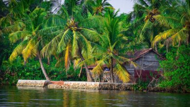 Kerala tours from Kolkata
