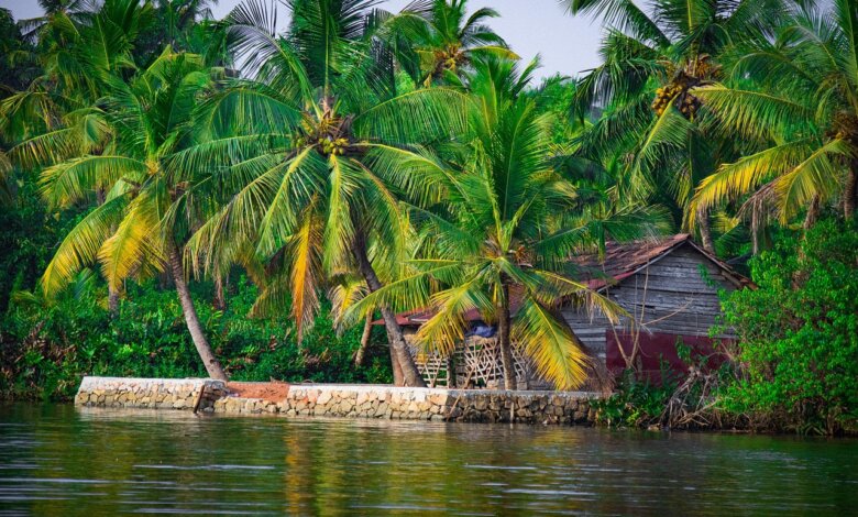 Kerala tours from Kolkata
