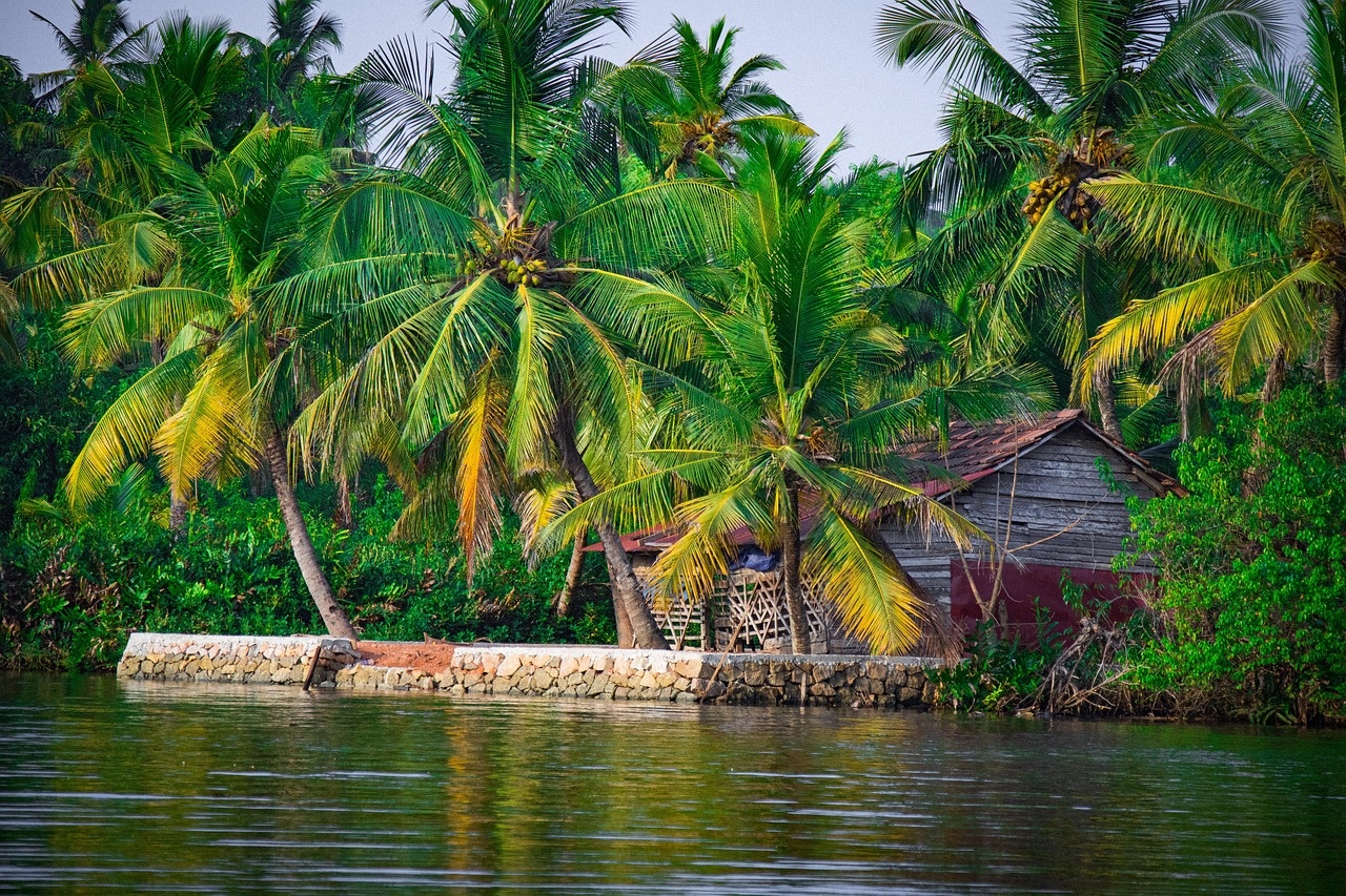 Kerala tours from Kolkata