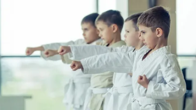 Martial Arts Training Centers