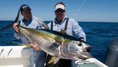 Sport fishing charter Qatar