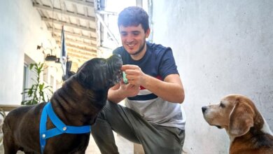 dog boarding daycare near me