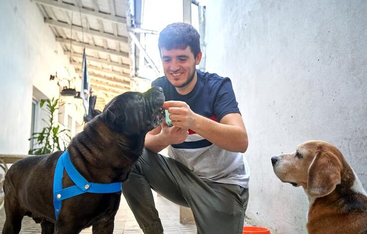 dog boarding daycare near me