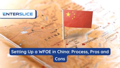 Setting Up a WFOE in China Process, Pros and Cons