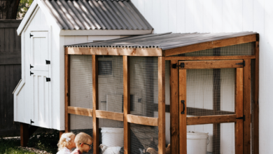 chicken coops