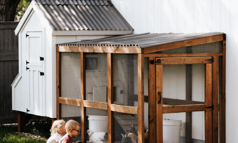 chicken coops