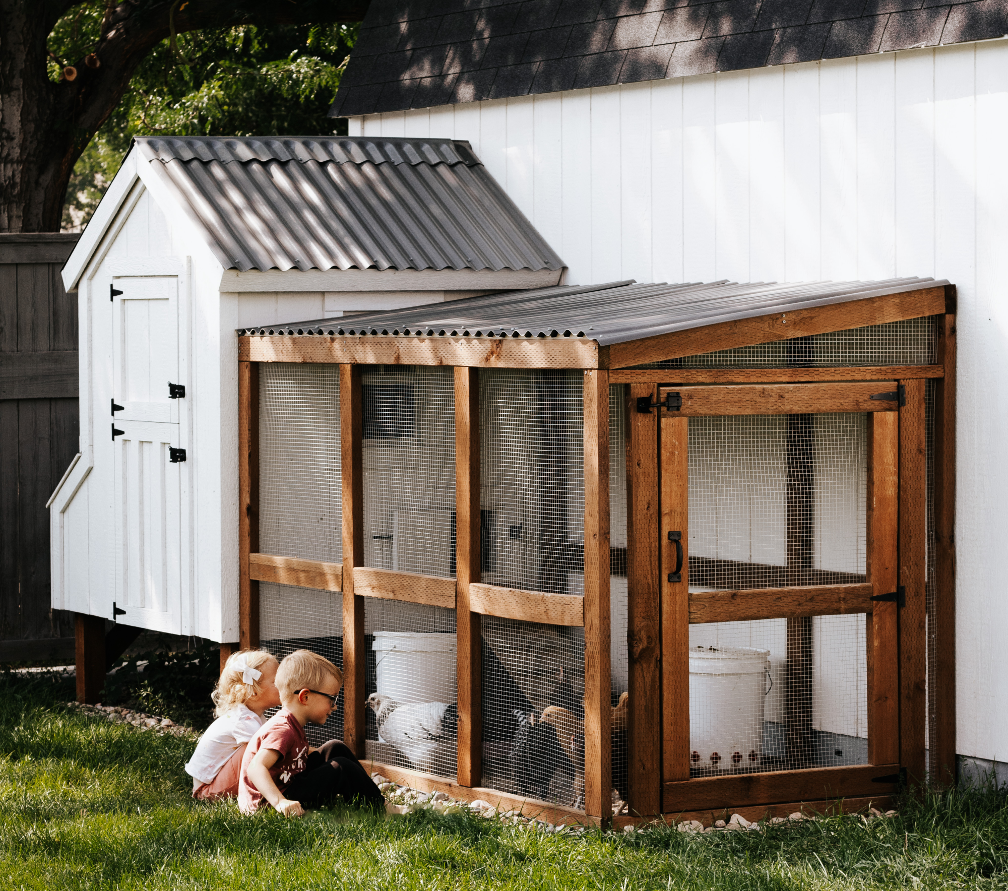 chicken coops