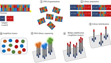 comprehensive-guide-to-dna-sequencing-methods