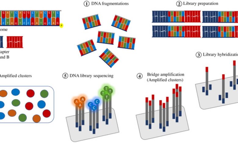 comprehensive-guide-to-dna-sequencing-methods