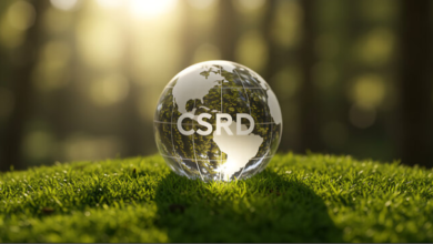 Directive sur les Rapports de Développement Durable des Entreprises