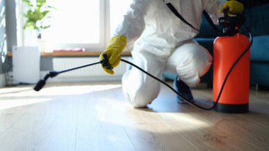 pest control services houston
