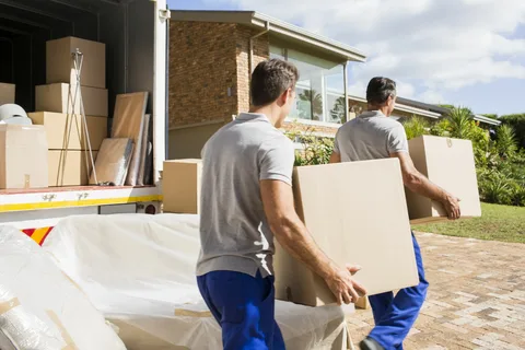 professional organizing and moving solutions