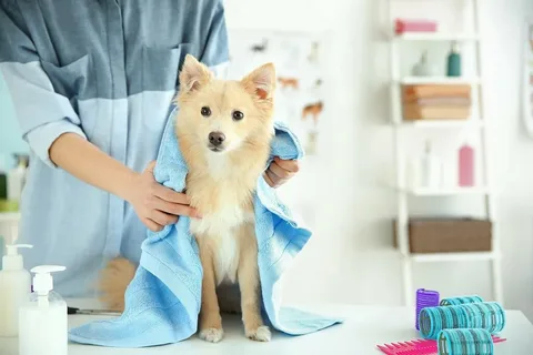 Avoid grooming injuries at home