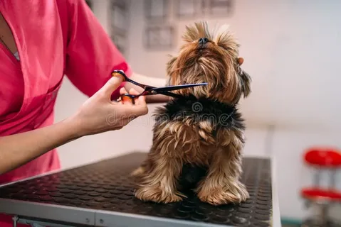 full-service mobile pet grooming
