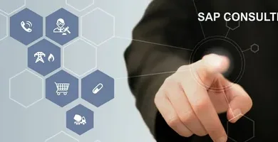SAP Services