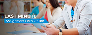 urgent assignment help