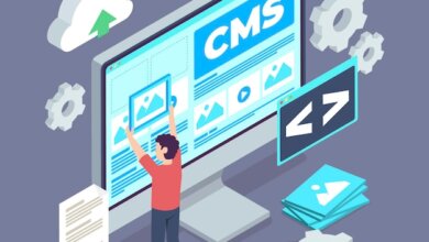 Asp.net Development Services