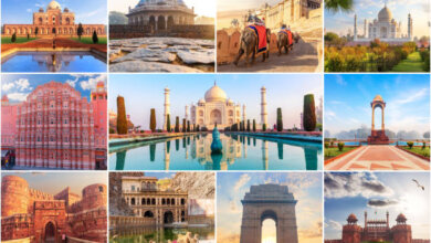 Delhi Agra Jaipur Tour