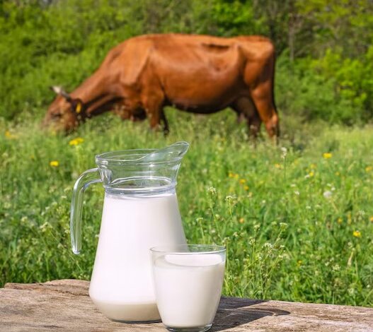 texas raw milk