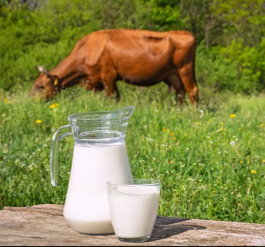 texas raw milk