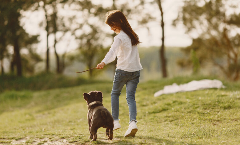 dog sitting services