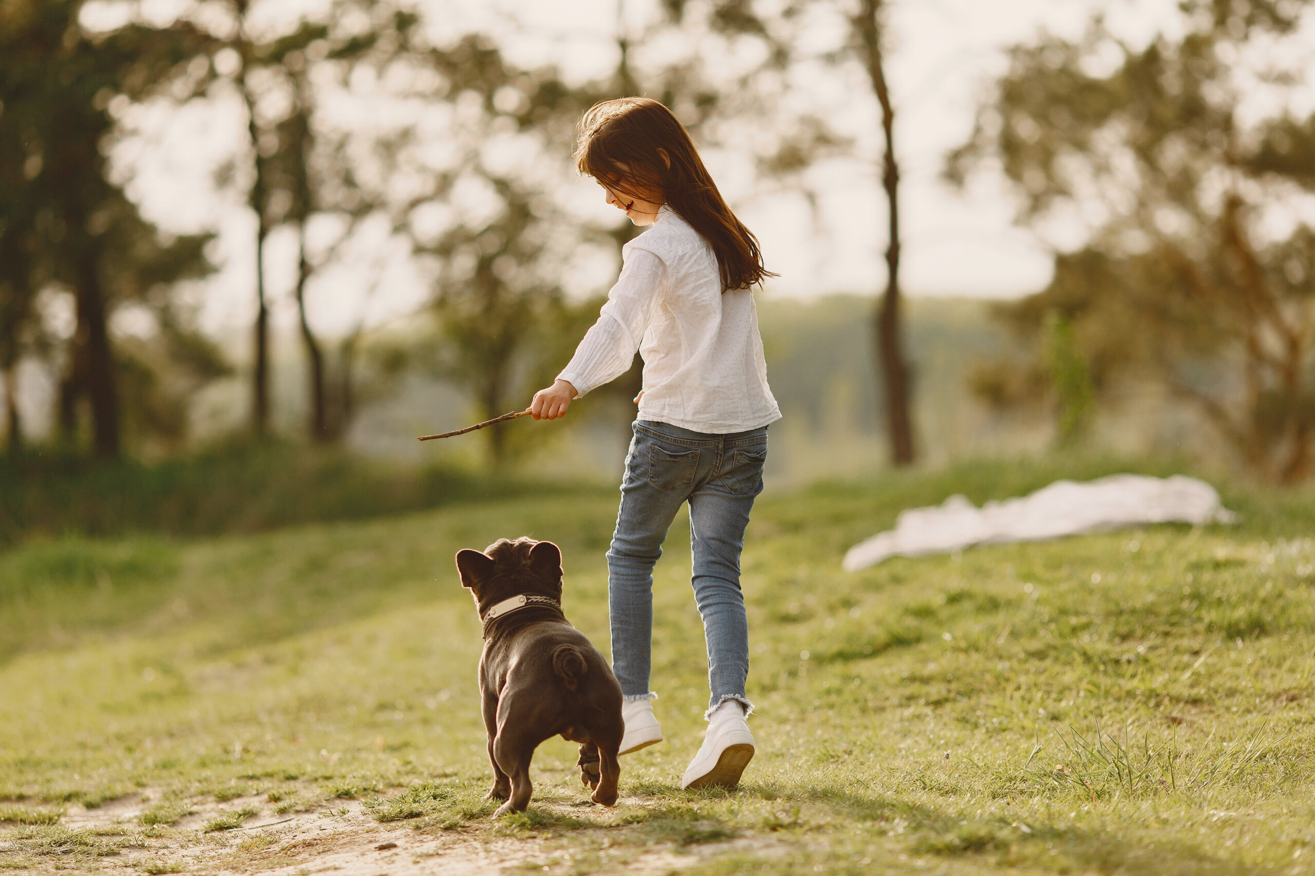 dog sitting services