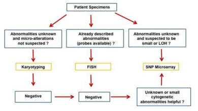 the-applications-of-snp-microarray