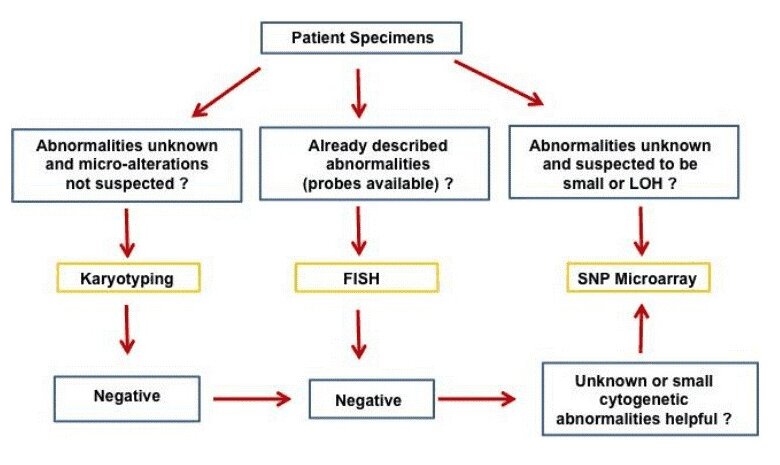 the-applications-of-snp-microarray